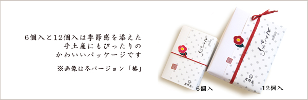 とこなつ6個入りはちょとした手土産にとても便利です