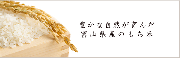 富山県産のもち米