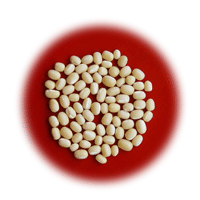 白小豆